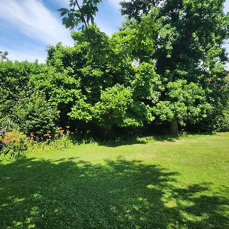 Apartment Bellavitalia - A Cozy Nest In The Foothills Of The Alps *